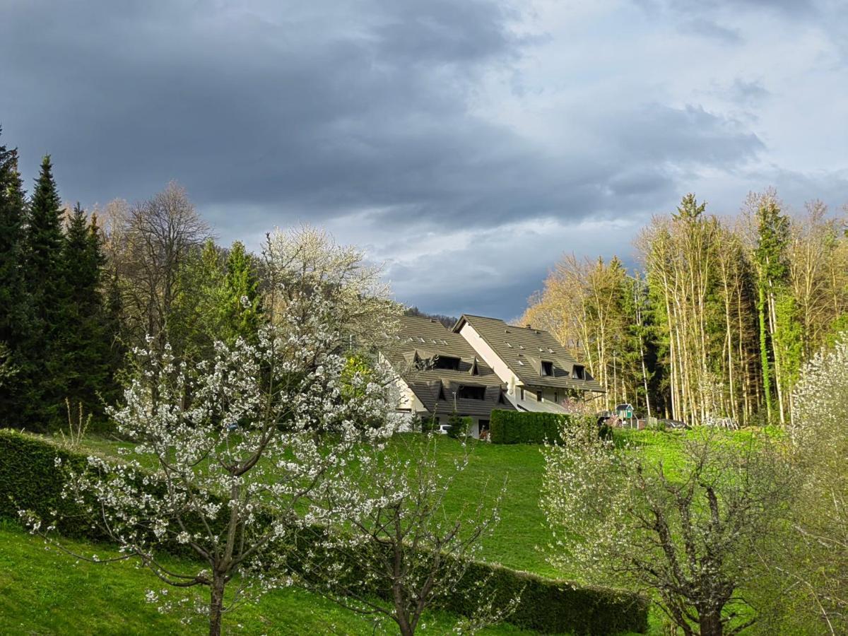 Prenocisca Mraz Apartment Velenje Bagian luar foto