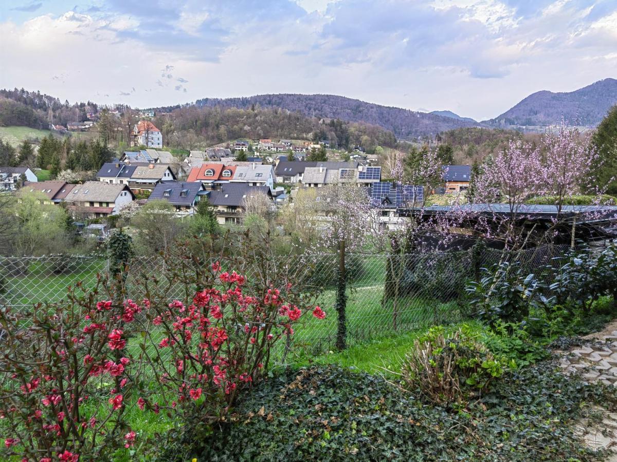 Prenocisca Mraz Apartment Velenje Bagian luar foto