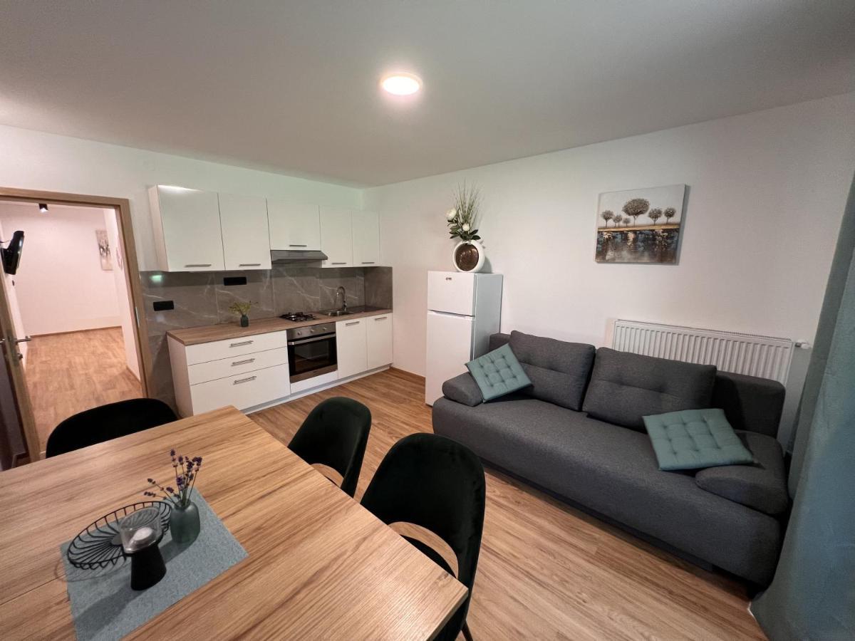 Prenocisca Mraz Apartment Velenje Bagian luar foto