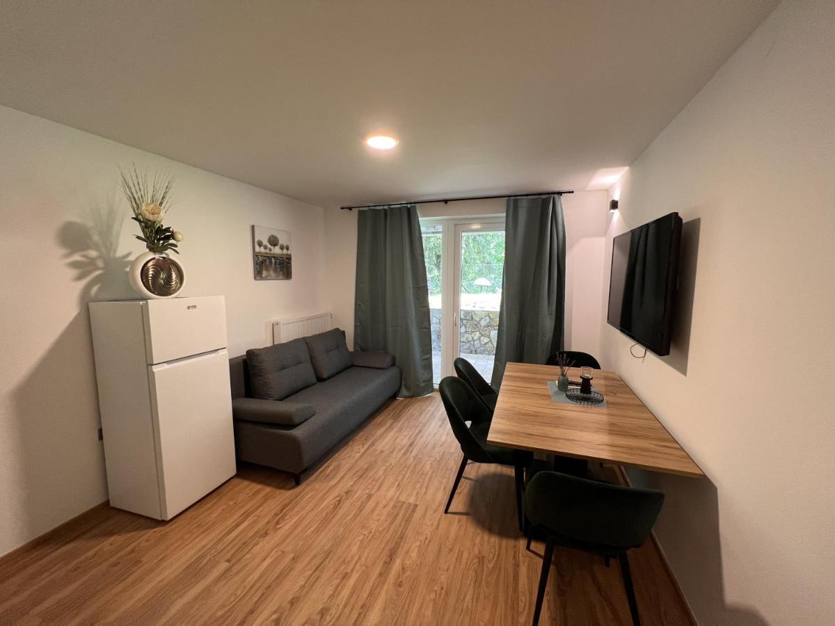 Prenocisca Mraz Apartment Velenje Bagian luar foto