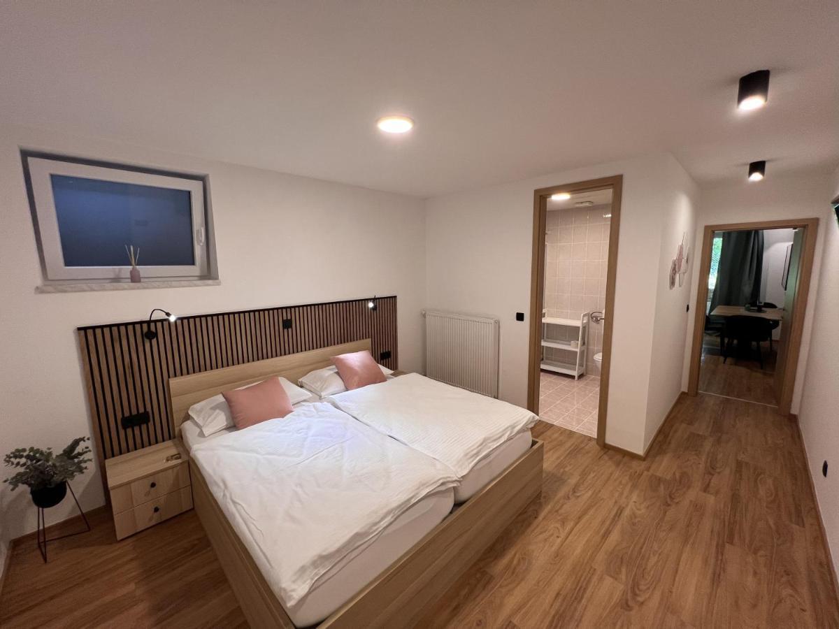 Prenocisca Mraz Apartment Velenje Bagian luar foto